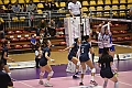 MAS_8515