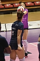 MAS_8518