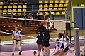 MAS_8524
