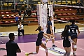 MAS_8526