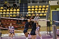 MAS_8528