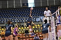 MAS_8543