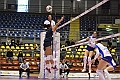 MAS_8551