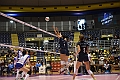 MAS_8575