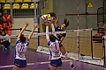 MAS_8625