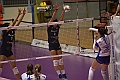 MAS_8627