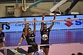 MAS_8631