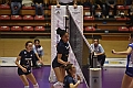 MAS_8654