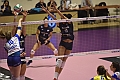 MAS_8768