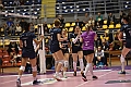 MAS_8944