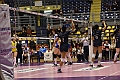 MAS_8950