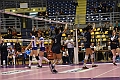 MAS_8952
