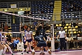 MAS_8981