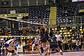 MAS_9004