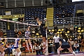MAS_9023