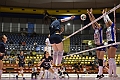 MAS_9038