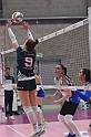 MAS_2197