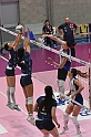 MAS_2272