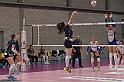MAS_2341