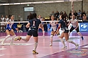 MAS_2353