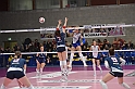 MAS_2487