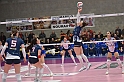 MAS_2494