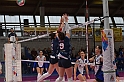 MAS_2538