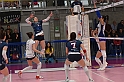 MAS_2541