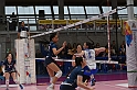 MAS_2584