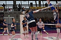 MAS_2585