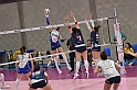 MAS_2629