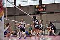 MAS_2736