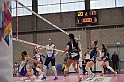 MAS_2737
