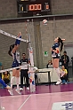MAS_2773