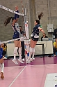 MAS_2775