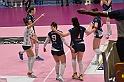 MAS_2979