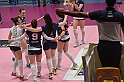 MAS_2981