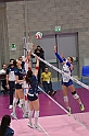 MAS_3102