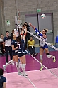 MAS_3103