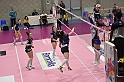 MAS_3117