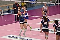 MAS_3146