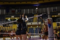 MAS_1355