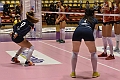 MAS_1356