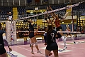 MAS_1360