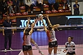 MAS_1461