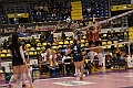 MAS_1537