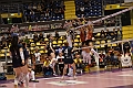 MAS_1538