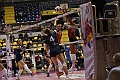 MAS_1560