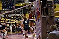 MAS_1561