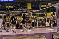 MAS_1593